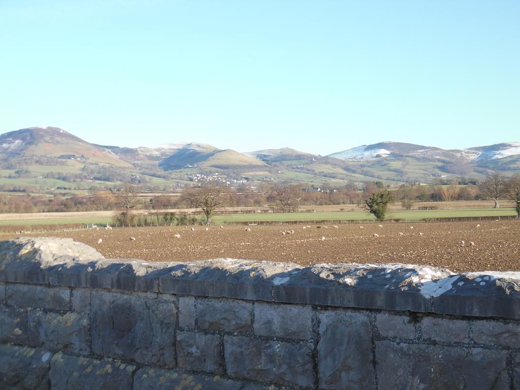 Granary At Tyddyn Isaf Villa Ruthin Exterior foto